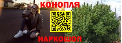 PSILOCYBIN Бийск