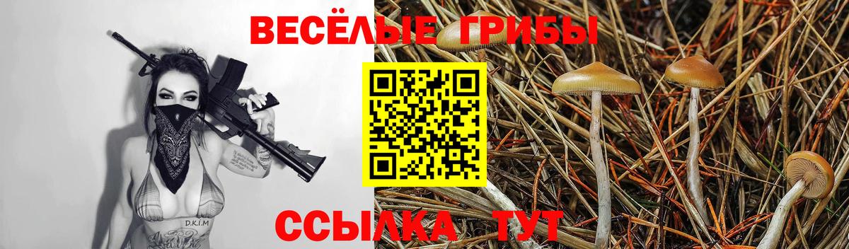 Псилоцибиновые грибы мицелий  наркота  Вольск  Вход с VPN 